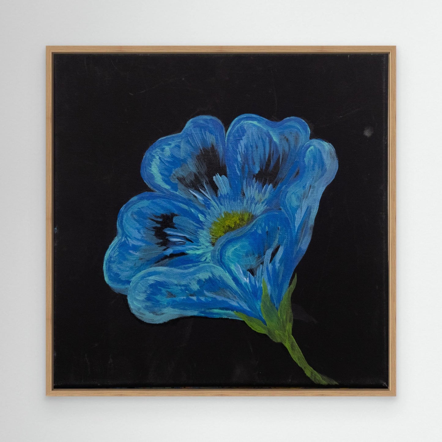 Blue Poppy