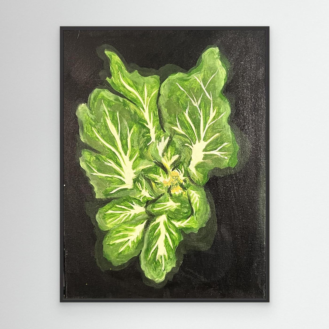 Baby Bok Choy