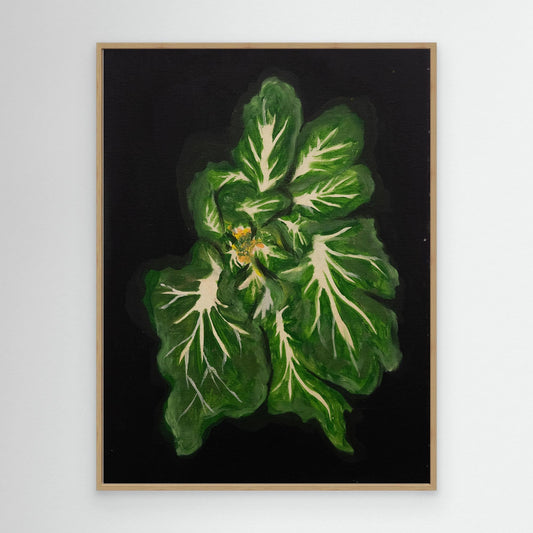 Baby Bok Choy