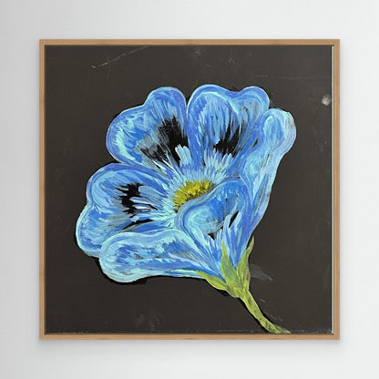 Blue Poppy