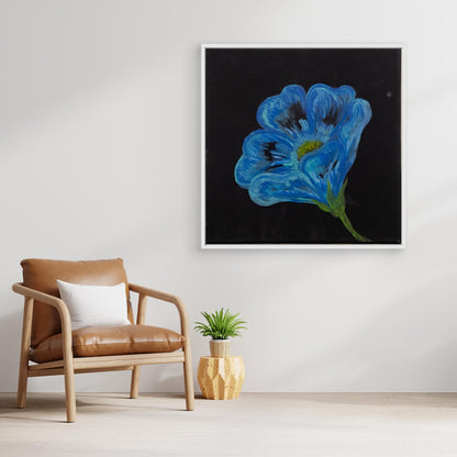 Blue Poppy