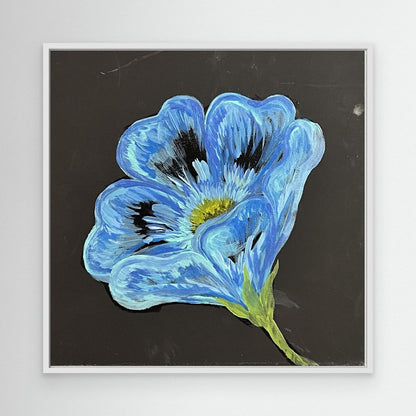 Blue Poppy