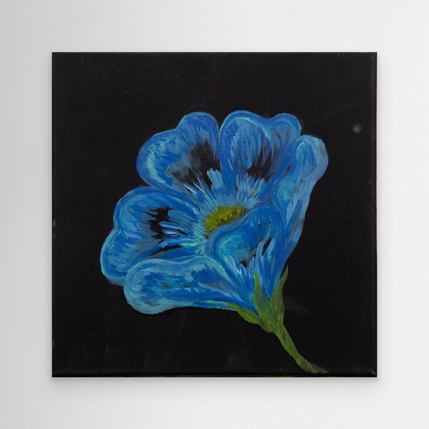 Blue Poppy