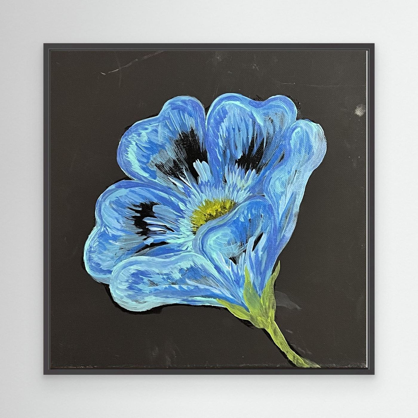 Blue Poppy