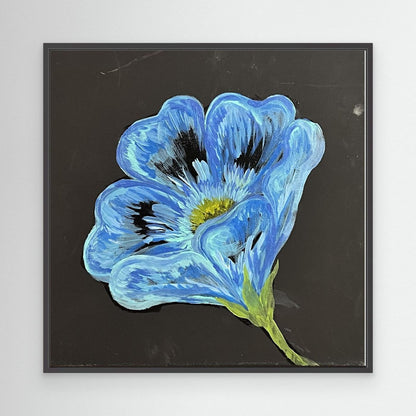 Blue Poppy