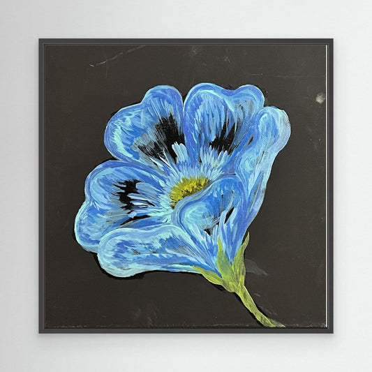 Blue Poppy