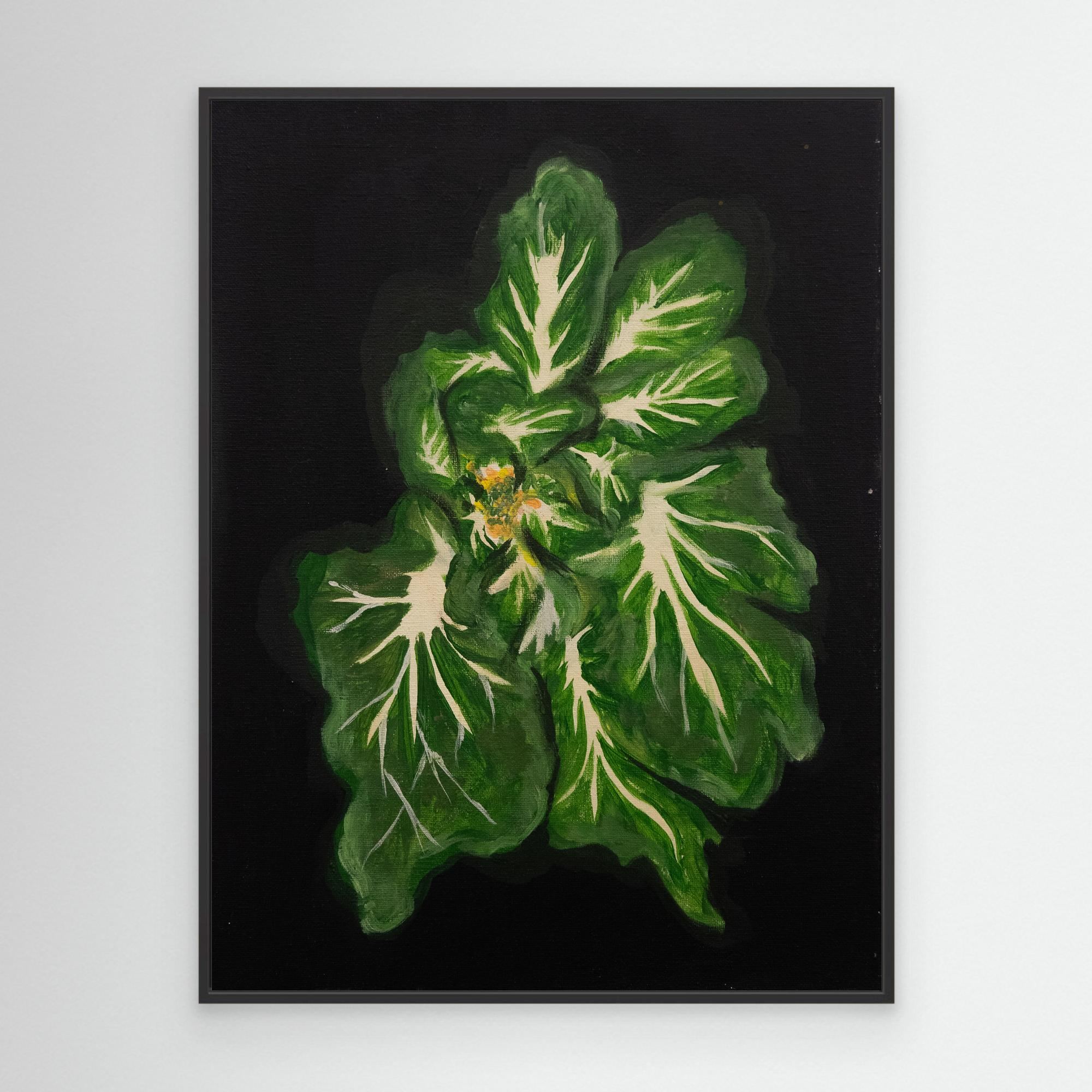 Baby Bok Choy