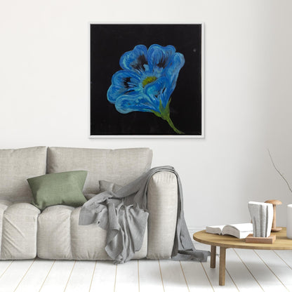 Blue Poppy