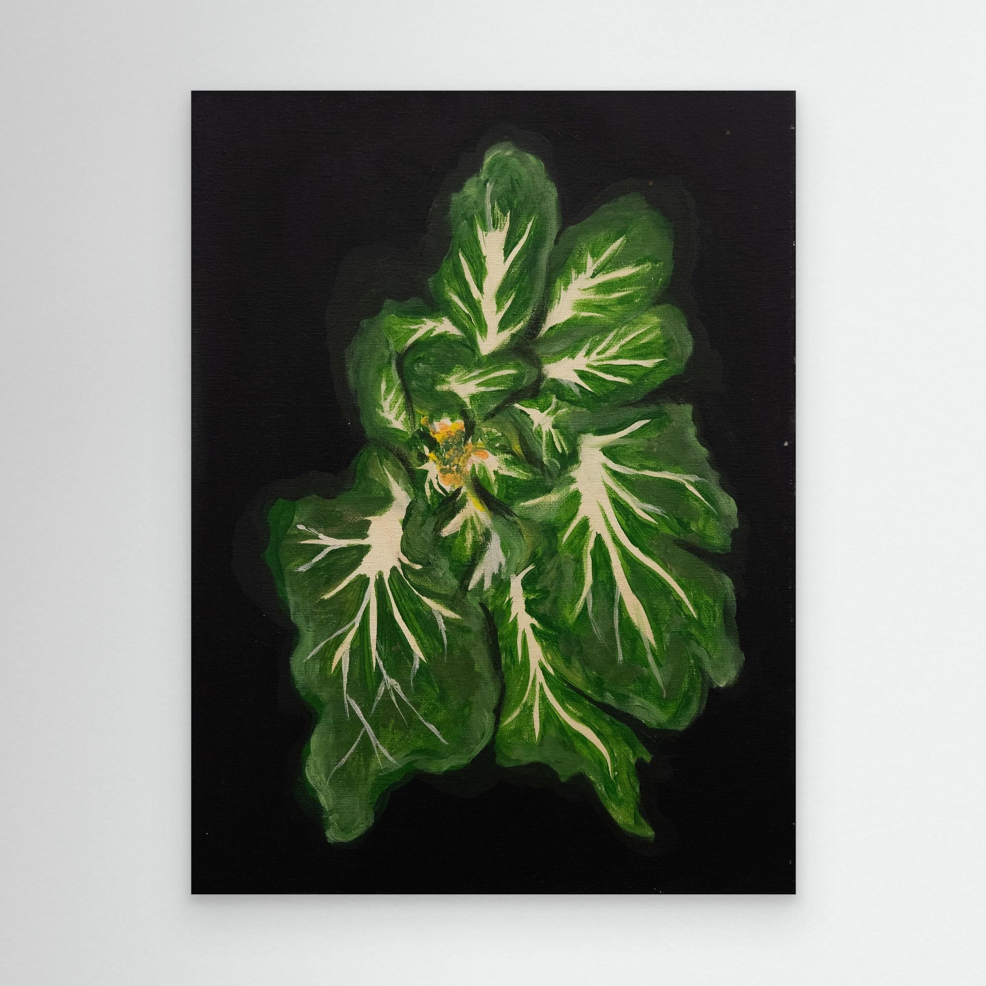 Baby Bok Choy