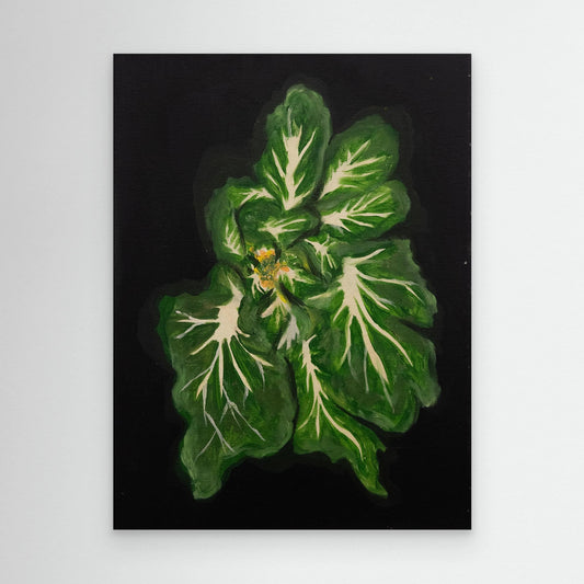 Baby Bok Choy