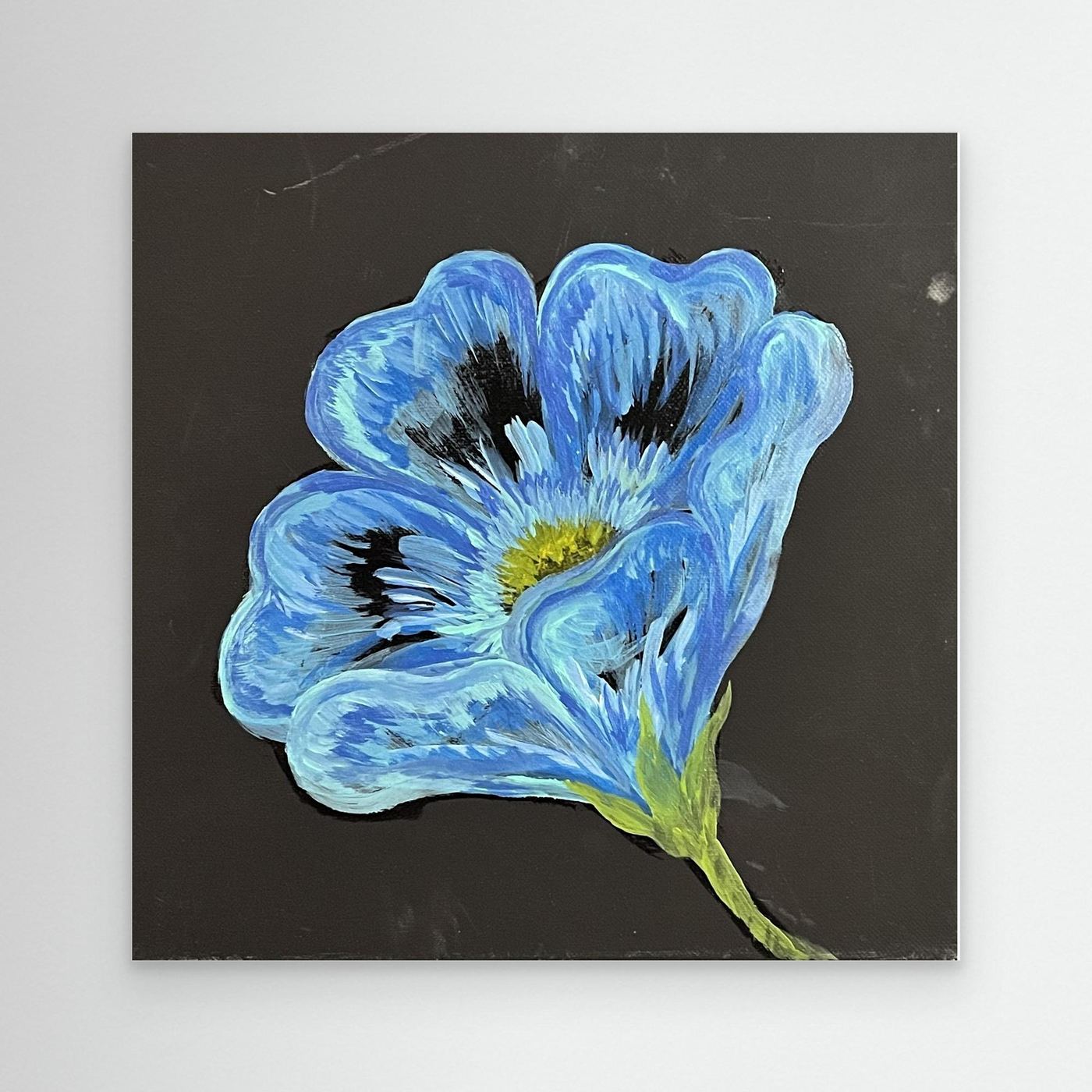 Blue Poppy