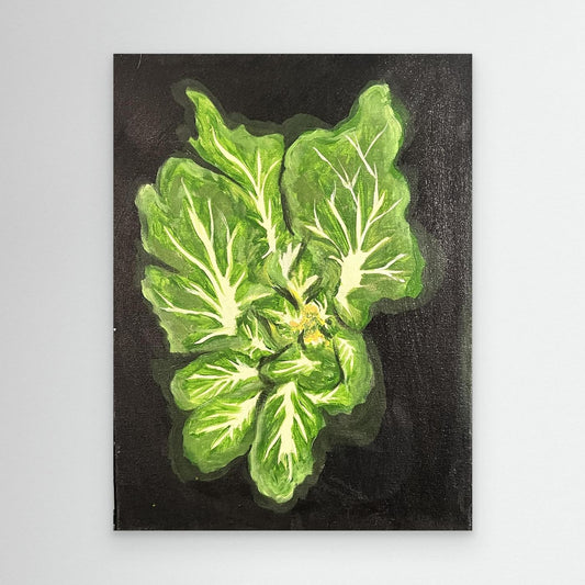 Baby Bok Choy