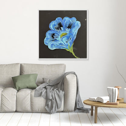 Blue Poppy